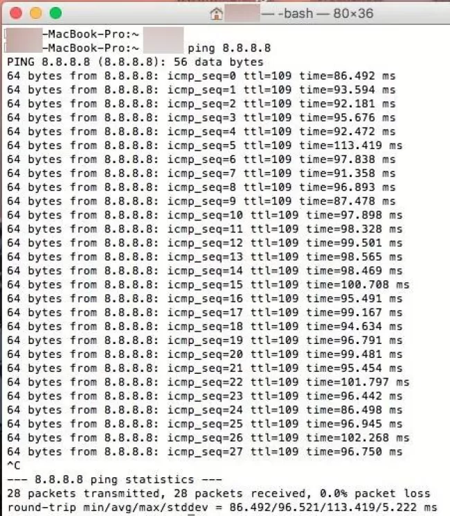 Ping in mac 02