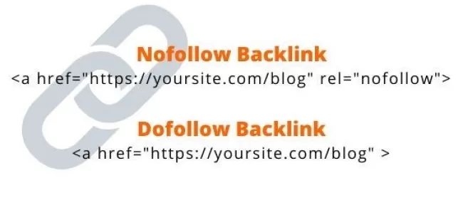 backlink-10