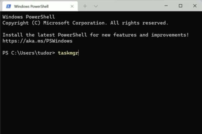 راه‌اندازی تسک منیجر در ترمینال ویندوز 